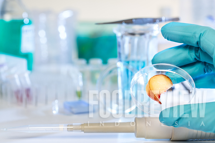 Patogen pada Produk Pangan